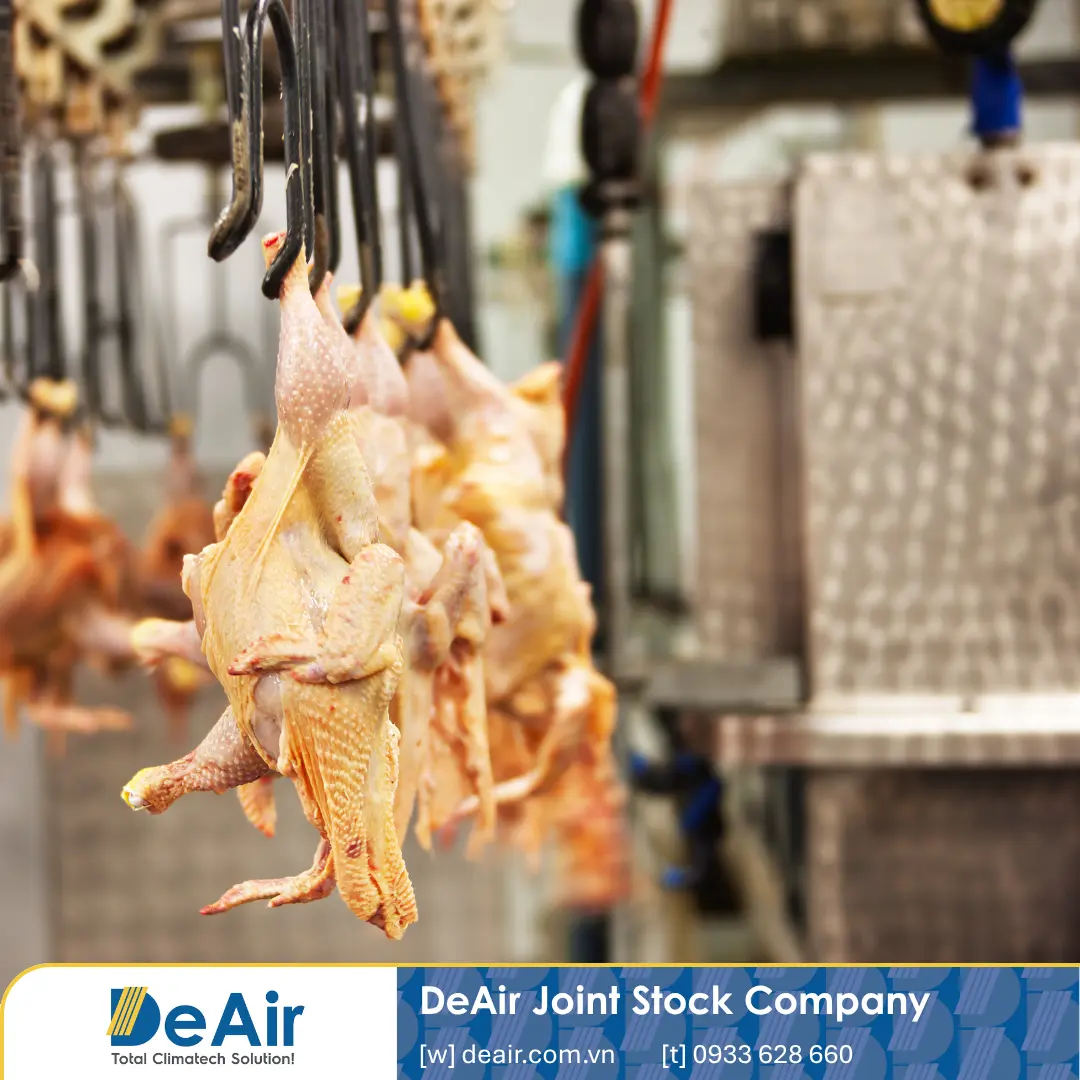 Premium Food Plant Condensation Control: Protecting Poultry Processing & IQF Lines from Cross-Contamination