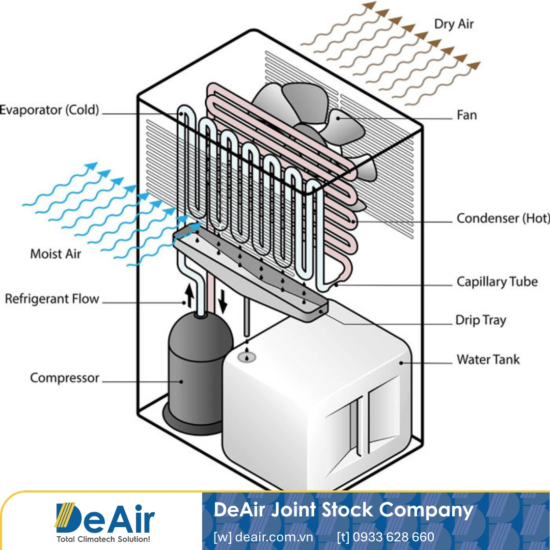 Structure of Olmas dehumidifier