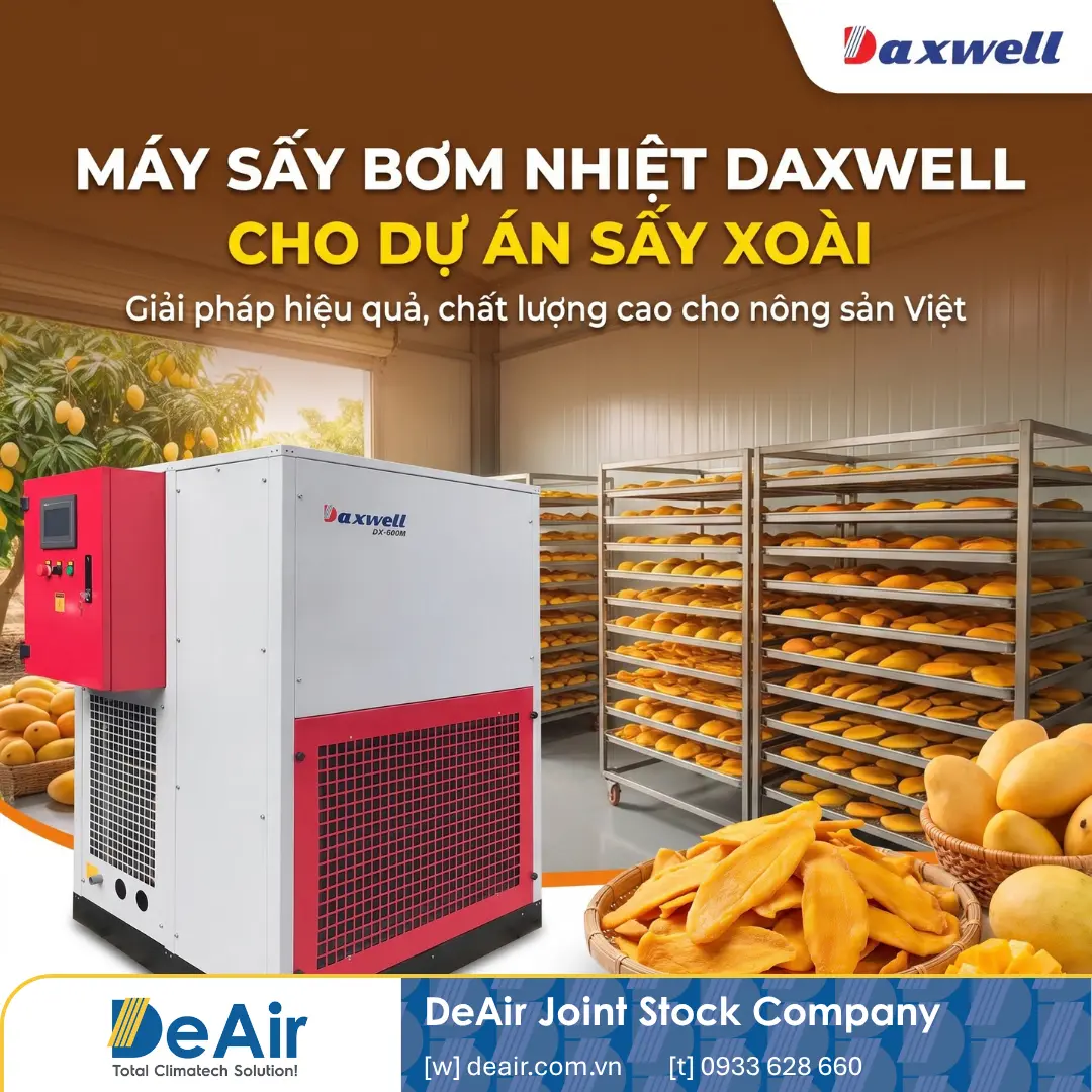 Investing in Daxwell Dryers: A Strategy to "Catch the Wave" of Off-Season Tet Fruits & The ESG Green Dried Food Trend