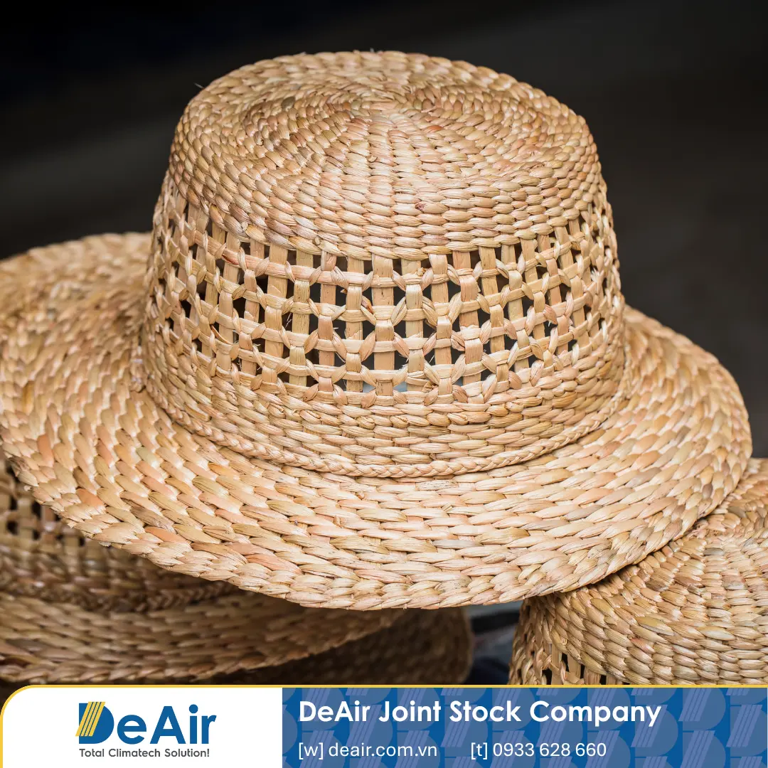 Turning Weeds into "Green Gold": Anti-Mold Water Hyacinth Drying Solutions for Export with Daxwell