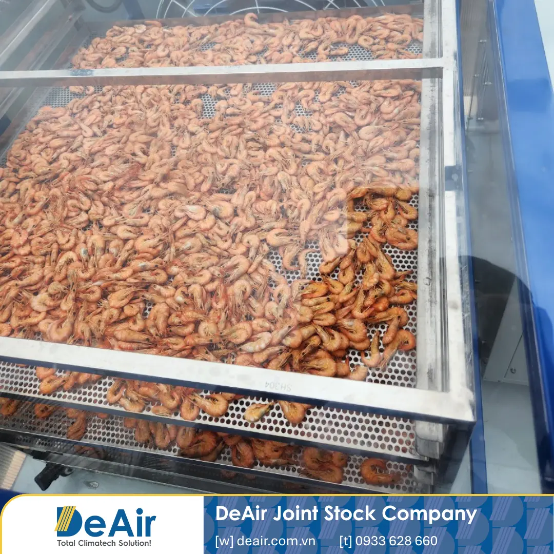 Case Study: Hybrid Solar & Heat Pump Drying Room for Seafood Processing with Daxwell