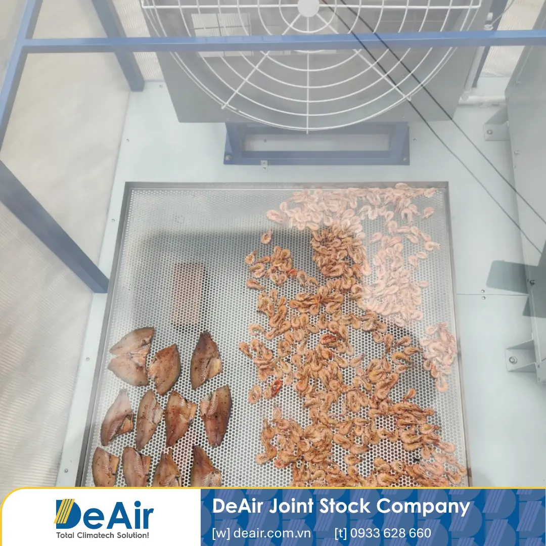 Testing drying fish and shrimp simultaneously