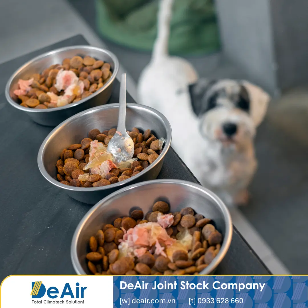 Sản Xuất Thức Ăn Thú Cưng & Chăn Nuôi: Giải Pháp Sấy Khép Kín, Tránh "Bản Án" Ô Nhiễm Cùng Daxwell