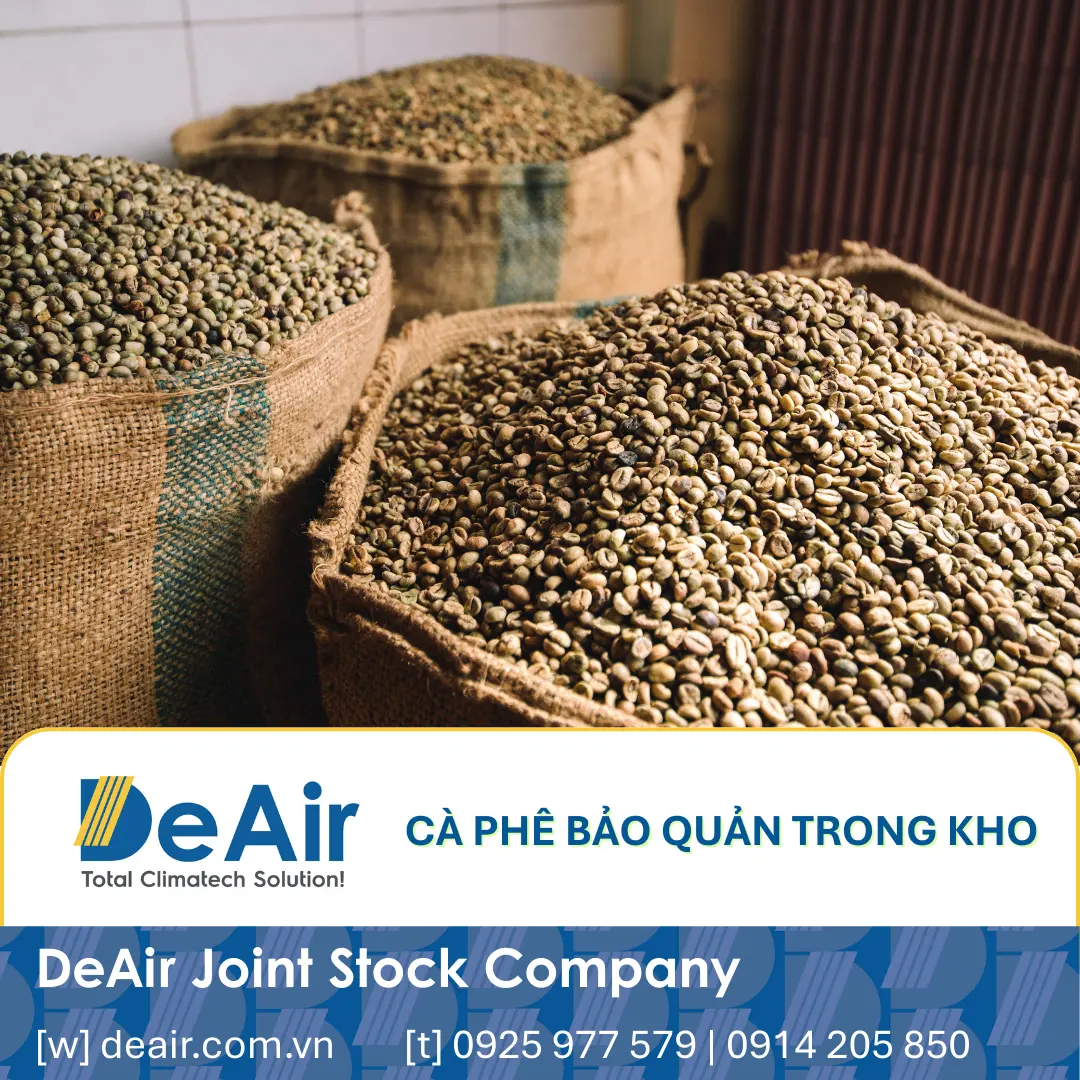 Trữ Cà Phê Chờ Giá Cao: Đừng Để Nấm Mốc & Hồi Ẩm Làm "Bay Hơi" Lợi Nhuận Của Bạn