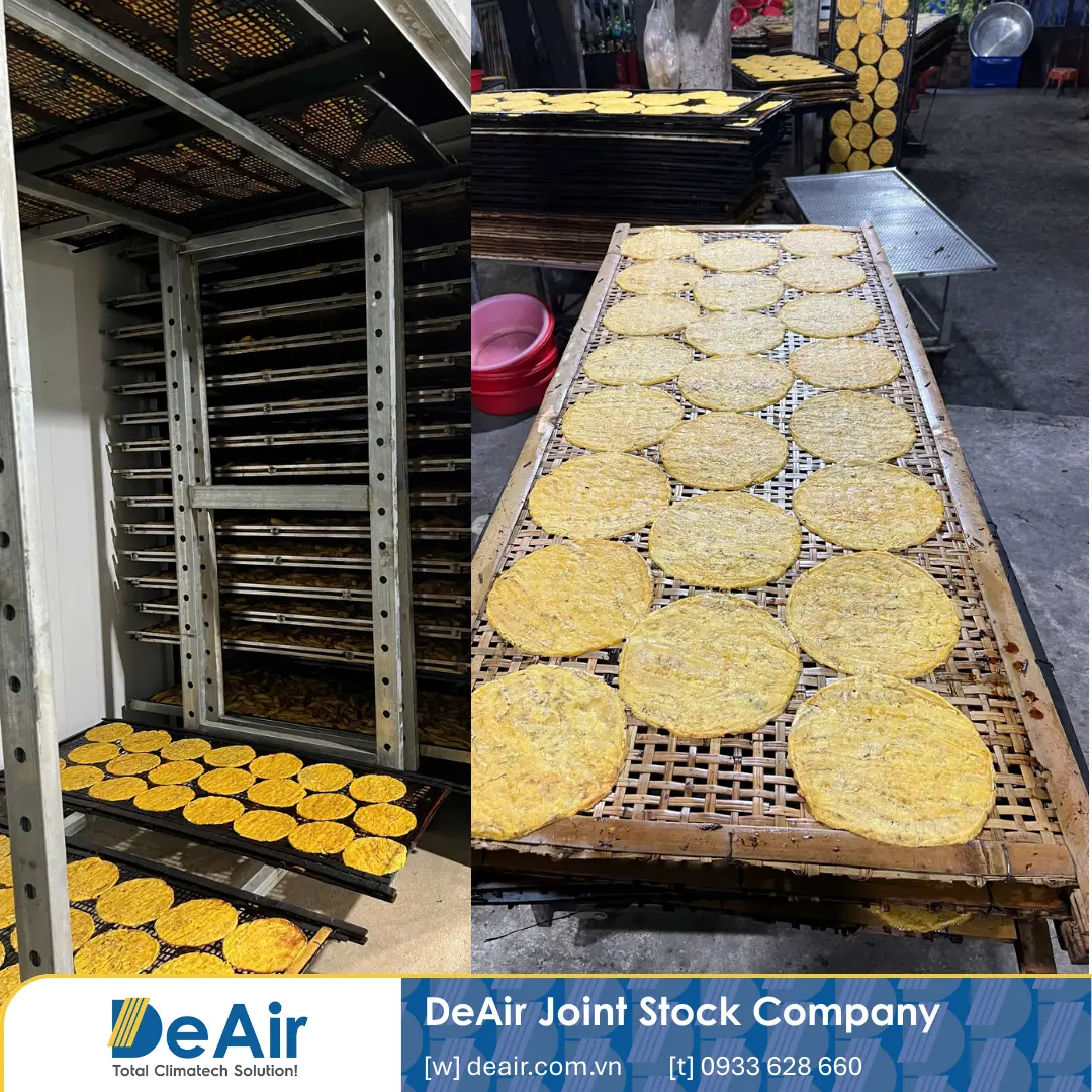 Chuối nguyên quả được sơ chế sạch sẽ và xếp lên khay chuẩn bị đưa vào phòng sấy