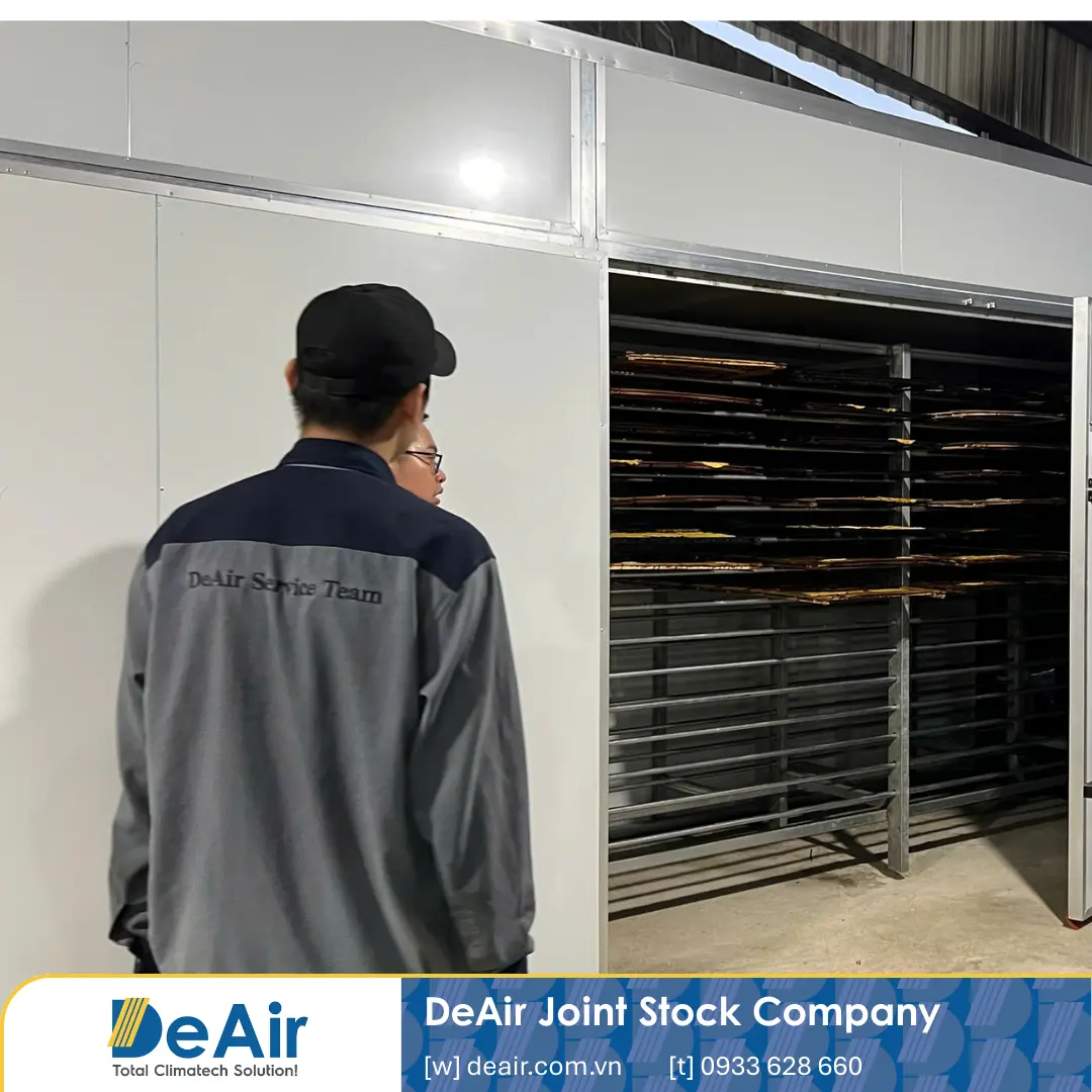 Khách hàng nghiệm thu mẻ chuối sấy dẻo tươm mật thành công cùng thiết bị Daxwell