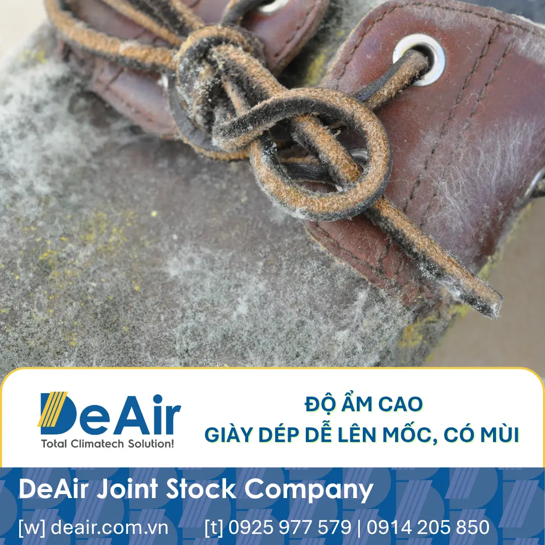 7 Super Fast & Effective Ways to Dry Shoes at Home (2025 Update)