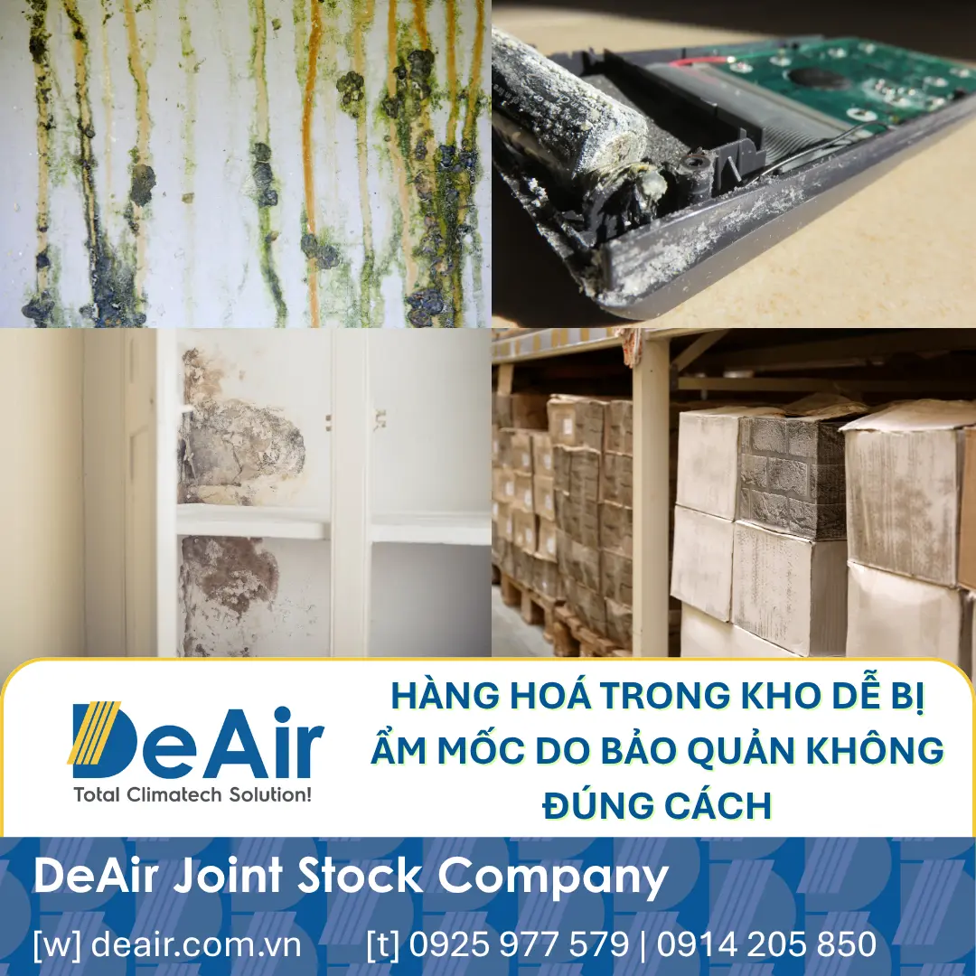 Hàng hóa trong kho bị ẩm mốc do không được bảo quản đúng cách.