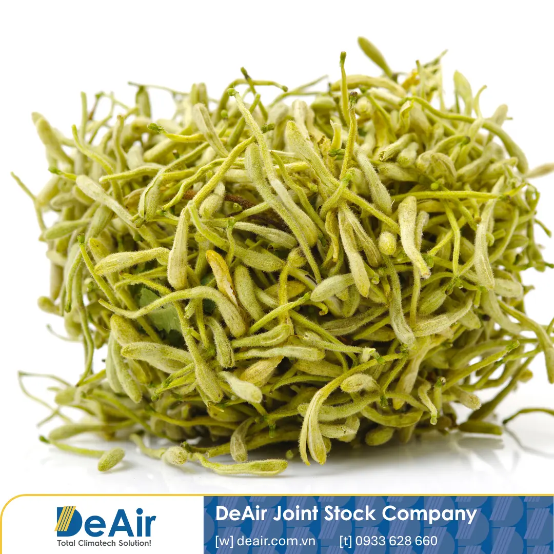 Hoa kim ngân sấy khô hoàn hảo bằng phương pháp sấy lạnh Daxwell giữ nguyên màu sắc