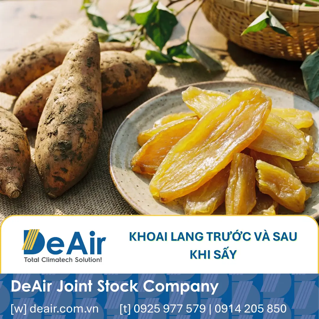 Sản phẩm khoai lang sấy dẻo màu vàng ươm, chất lượng cao.