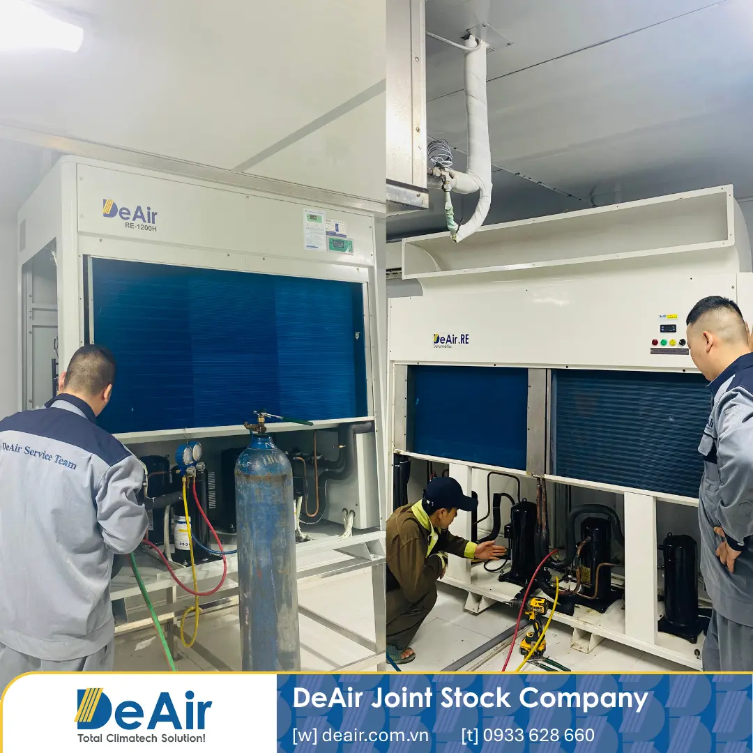 10+ Cách Giảm Độ Ẩm Trong Phòng Hiệu Quả & Case Study "Khắc Chế" Nồm Ẩm Kho Khoai Lang Nghệ An