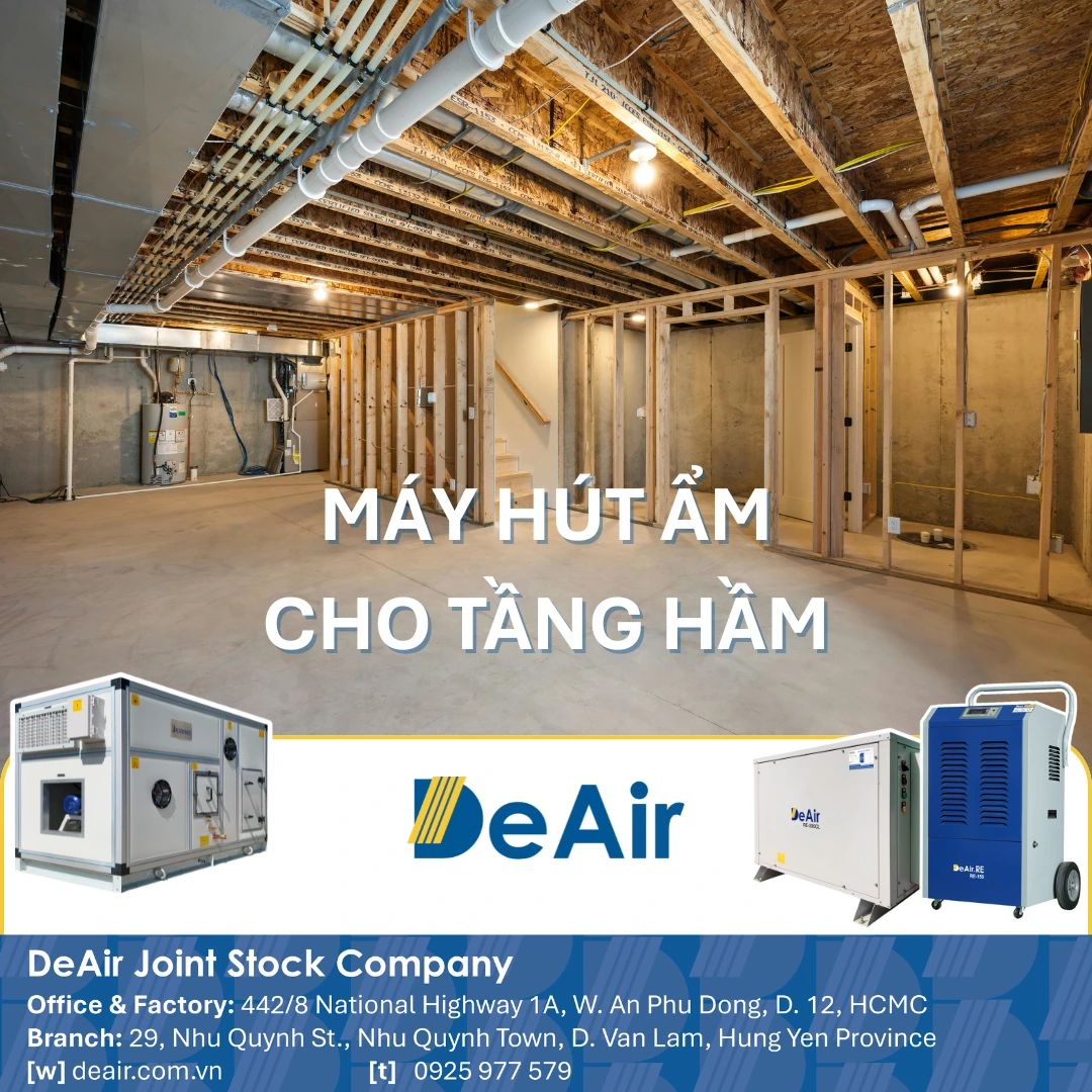 Máy Hút Ẩm Cho Tầng Hầm: Giải Pháp Toàn Diện Chống Ẩm Mốc Hiệu Quả