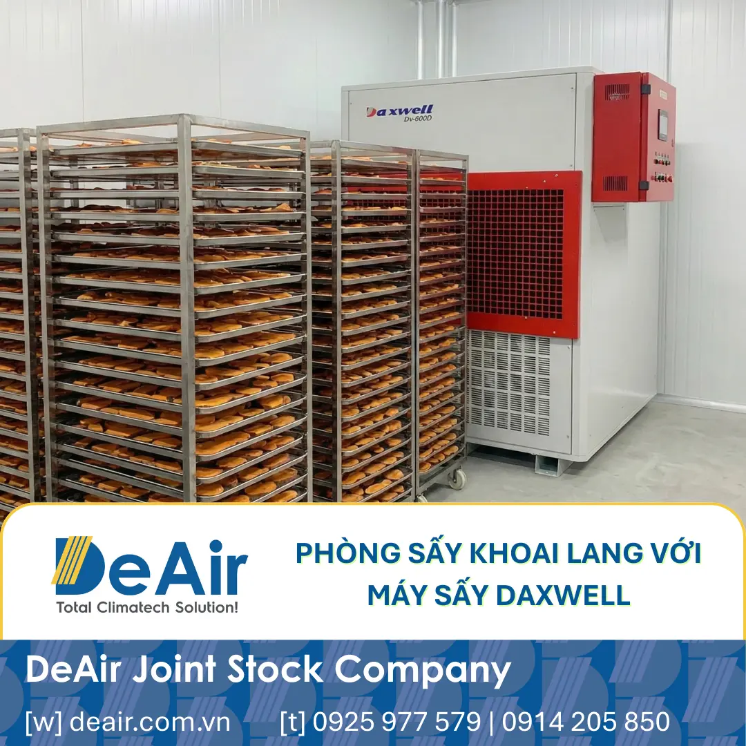 Hệ thống phòng sấy khoai lang chuyên nghiệp sử dụng máy sấy Daxwell.