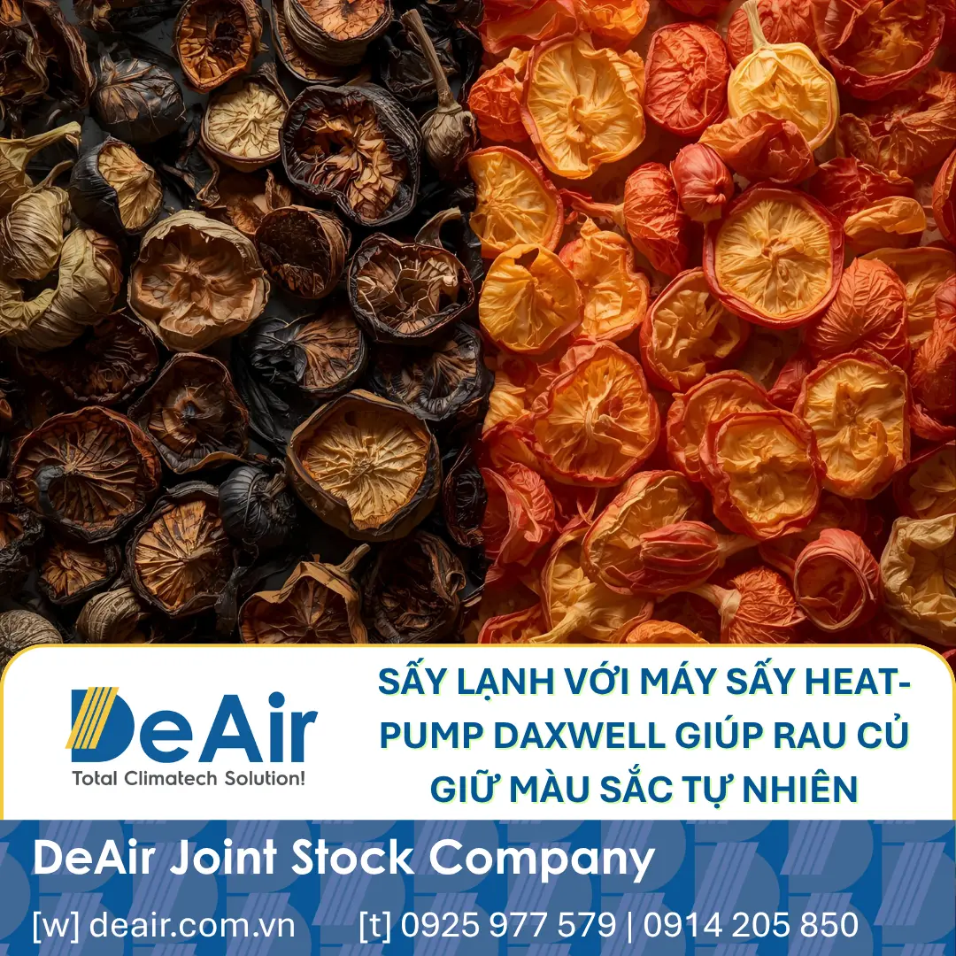 Analyzing Vegetable Drying Technologies: Kiln, Resistance, Freeze-Drying & The Optimal Solution