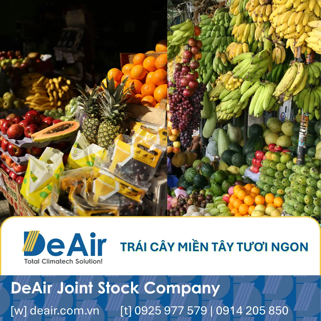 Trái cây miền Tây phong phú là nguồn nguyên liệu dồi dào cho ngành sấy dẻo.