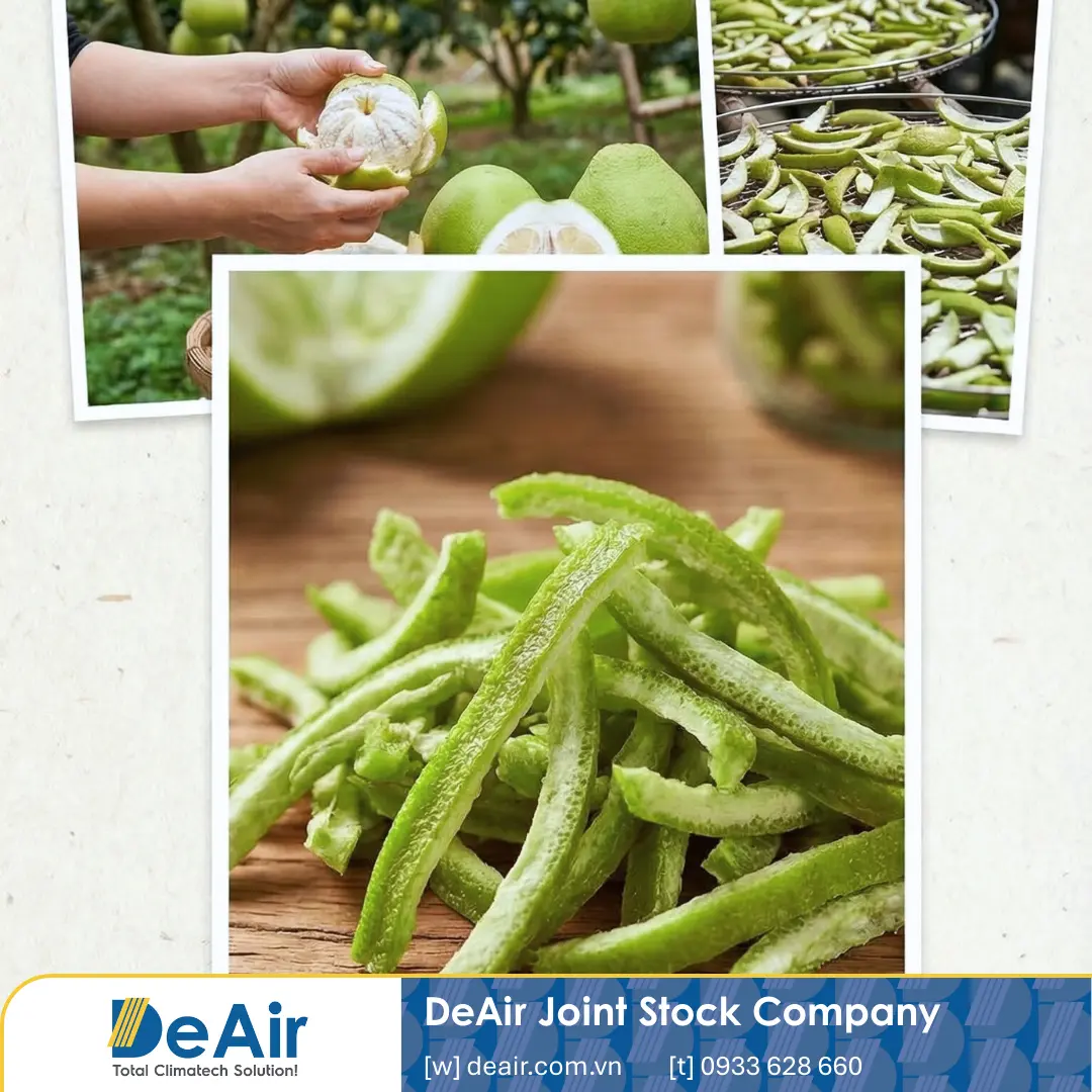 Turning "Waste" into Gold: Pomelo Peel Drying Technology to Retain Nutrients with Daxwell Dryers