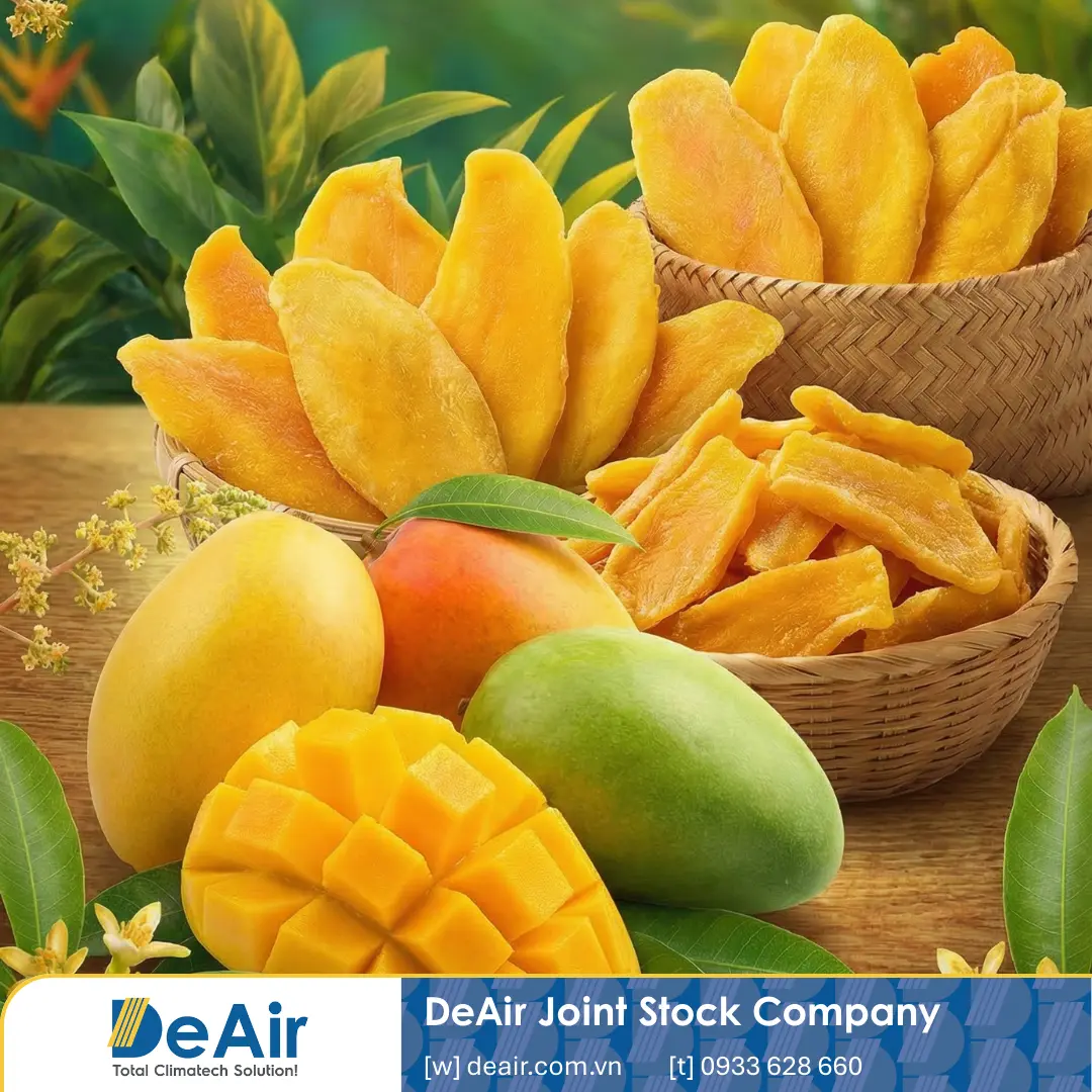 Project Showcase: Export-Standard Soft-Dried Mango Production Process with Daxwell Dryers